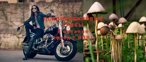 мет Верея