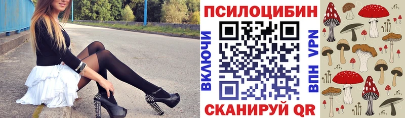 Купить где  Невьянск  Псилоцибиновые грибы прущие грибы 